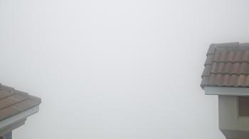 Weather camera view of Portofino Island Resort and Spa.