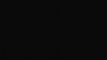 Weather camera view of Portofino Island Resort and Spa.