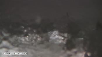 Weather camera view of St. Michael Catholic School.