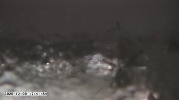 Weather camera view of St. Michael Catholic School.