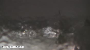 Weather camera view of St. Michael Catholic School.