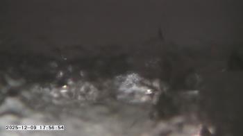 Weather camera view of St. Michael Catholic School.