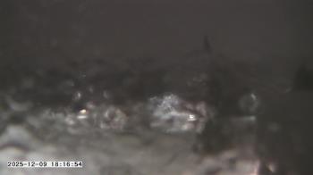 Weather camera view of St. Michael Catholic School.