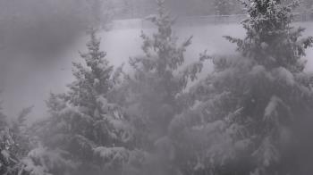 Weather camera view of Stuart Country Day School.