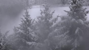 Weather camera view of Stuart Country Day School.