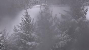 Weather camera view of Stuart Country Day School.