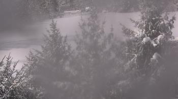 Weather camera view of Stuart Country Day School.