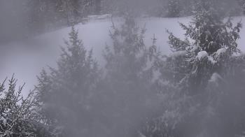 Weather camera view of Stuart Country Day School.