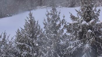 Weather camera view of Stuart Country Day School.