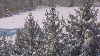 Weather camera view of Stuart Country Day School.