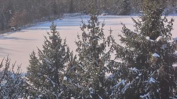 Weather camera view of Stuart Country Day School.
