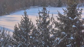 Weather camera view of Stuart Country Day School.