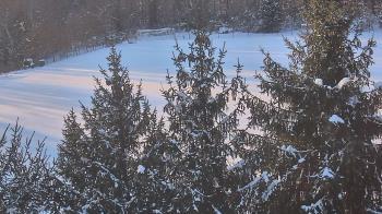 Weather camera view of Stuart Country Day School.