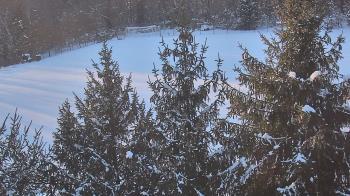 Weather camera view of Stuart Country Day School.