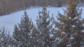 Weather camera view of Stuart Country Day School.