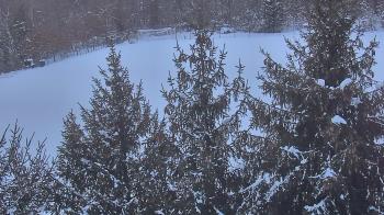 Weather camera view of Stuart Country Day School.