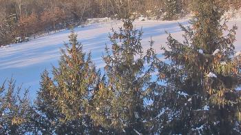 Weather camera view of Stuart Country Day School.