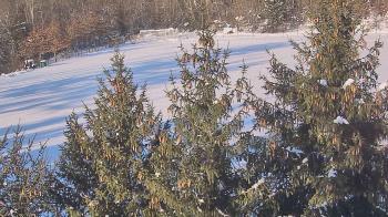 Weather camera view of Stuart Country Day School.