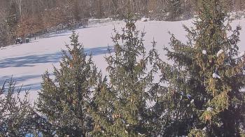 Weather camera view of Stuart Country Day School.