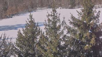 Weather camera view of Stuart Country Day School.