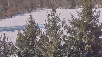 Weather camera view of Stuart Country Day School.