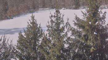 Weather camera view of Stuart Country Day School.