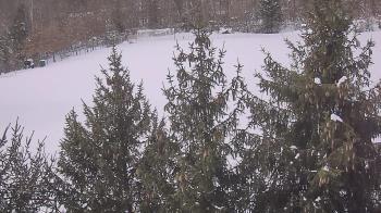 Weather camera view of Stuart Country Day School.