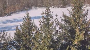 Weather camera view of Stuart Country Day School.