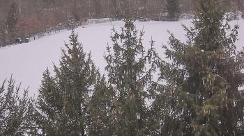 Weather camera view of Stuart Country Day School.