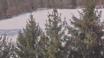 Weather camera view of Stuart Country Day School.