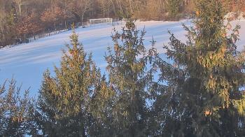 Weather camera view of Stuart Country Day School.