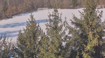 Weather camera view of Stuart Country Day School.