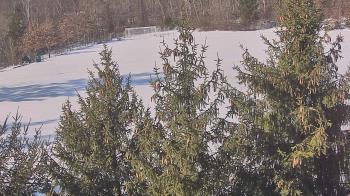 Weather camera view of Stuart Country Day School.