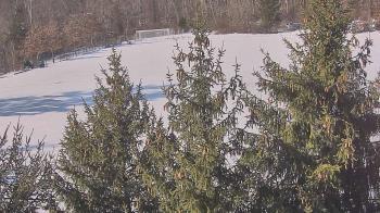 Weather camera view of Stuart Country Day School.