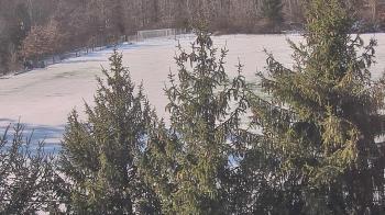 Weather camera view of Stuart Country Day School.