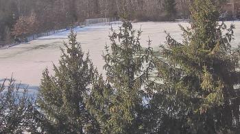 Weather camera view of Stuart Country Day School.