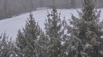 Weather camera view of Stuart Country Day School.