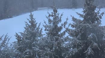 Weather camera view of Stuart Country Day School.