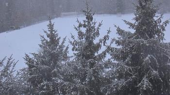 Weather camera view of Stuart Country Day School.