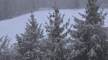 Weather camera view of Stuart Country Day School.