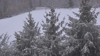 Weather camera view of Stuart Country Day School.