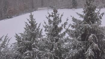 Weather camera view of Stuart Country Day School.