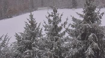 Weather camera view of Stuart Country Day School.