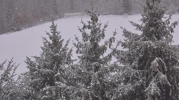 Weather camera view of Stuart Country Day School.