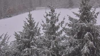 Weather camera view of Stuart Country Day School.