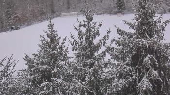 Weather camera view of Stuart Country Day School.