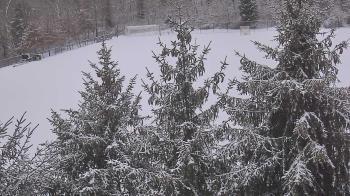 Weather camera view of Stuart Country Day School.