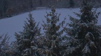 Weather camera view of Stuart Country Day School.