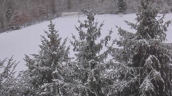 Weather camera view of Stuart Country Day School.