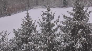 Weather camera view of Stuart Country Day School.